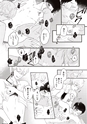 equal05trial