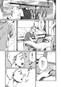 equal06trial