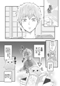 equal13trial